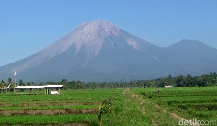 Gunung Semeru di Lumajang punya wisata offroad yang tak boleh dilewatkan. Para wisatawan akan disuguhkan pemandangan Gunung Semeru dengan menaiki mobil offroad.