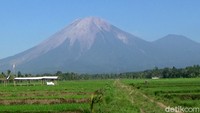 Wisata offroad Semeru Lava Tour di lereng gunung Semeru dimulai dari desa wisata Penanggal kecamatan Candipuro Lumajang. Para wisatawan akan disuguhkan pemandangan alam gunung semeru dengan menaiki mobil offroad.