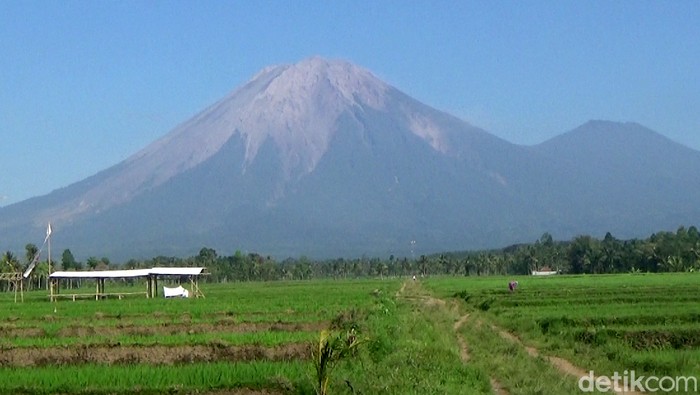 Gunung Semeru di Lumajang punya wisata offroad yang tak boleh dilewatkan. Para wisatawan akan disuguhkan pemandangan Gunung Semeru dengan menaiki mobil offroad.