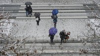 Orang-orang di bawah payung berjalan melalui salju yang menutupi kota, di Pamplona, Spanyol utara. Roncesvalles berjarak 158 km sebelah utara Ibu Kota Madrid.