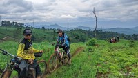 Komunitas gotrim di pasir ipis