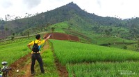Pasir ipis dengan pemandangan Hamparan kebun bawang diapit gunung malabar, sangar, dan gunung rakutak