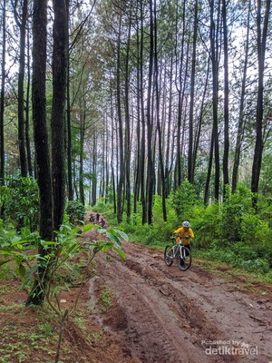 Tempat Menantang nan Tersembunyi untuk Bersepeda di Bandung