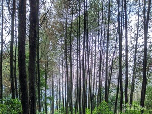 Tempat Menantang nan Tersembunyi untuk Bersepeda di Bandung