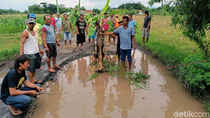Jalan Dusun Lajuk, Desa Ngepoh, Dringu, Probolinggo, rusak parah. Warga memprotes rusaknya jalan tersebut dengan aksi tanam pohon, tanam padi, hingga memancing.
