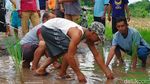 Warga Probolinggo Tanam Pisang-Padi dan Mancing di Jalan Rusak