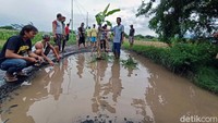 Dengan membawa bibit padi, batang pohon pisang, dan alat pancing, warga menggelar aksi di sekitar jalan rusak yang berubah menjadi kubangan. Selanjutnya warga menanam bibit padi, pohon pisang, dan memancing di kubangan.
