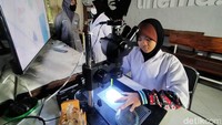 Pemilik nama lengkap Aeshnina Azzahra Aqilani ini memiliki nilai kepedulian yang tinggi terhadap lingkungan karena hal tersebut telah ditanamkan orang tuanya sejak kecil.