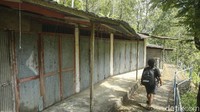 Biasanya wisatawan yang datang ke Air Terjun Gitgit akan berendam di sana. Selain itu, latar alam nan eksotis juga sayang bila tak diabadikan dalam bidikan kamera. Untuk mencapai lokasinya, traveler memang harus trekking melewati sejumlah anak tangga, tanjakan, dan turunan. Medannya tak sulit karena sudah disediakan jalan setapak.