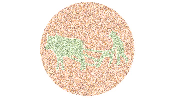 Tes asah otak detikHealth.