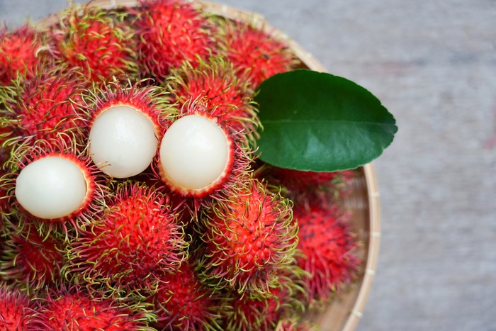 Ilustrasi buah rambutan