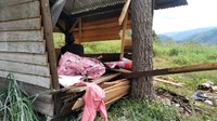 Kepala Balai Konservasi Sumber Daya Alam Aceh (BKSDA) Agus Arianto mengatakan 18 rumah tersebut dirusak gajah dalam waktu sekitar seminggu terakhir (dok BPBA)