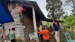 Rusak 18 Rumah Warga Aceh Diamuk Gajah Gegara Pagar Dicuri