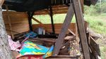 Rusak 18 Rumah Warga Aceh Diamuk Gajah Gegara Pagar Dicuri