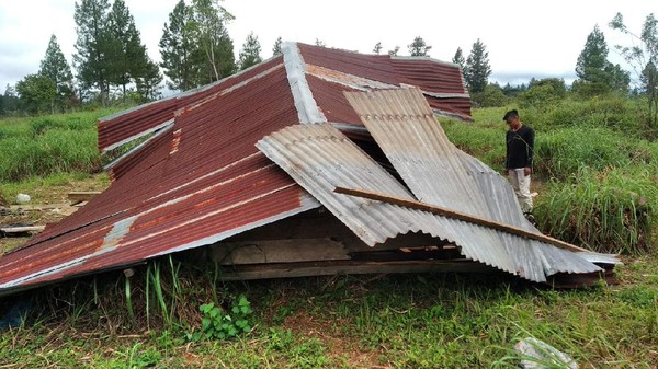 Rusak 18 Rumah Warga Aceh Diamuk Gajah Gegara Pagar Dicuri