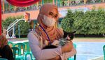 Lenggak-lenggok Kucing di Ciamis Kampanyekan Zero Rabies