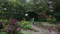 Sejumlah pekerja PT Freeport Indonesia tengah melakukan pengecekan kupu-kupu di kawasan MP-21, Timika, Kabupaten Mimika, Papua.