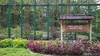 Taman kupu-kupu ini berada di kawasan MP-21, Timika, Kabupaten Mimika, Papua.