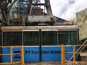 Terungkap Alasan Pemerintah Perpanjang Izin Freeport di Papua Usai 2041