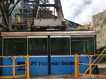Porsi Saham Pemerintah di Freeport Tambah 12% Gratis?