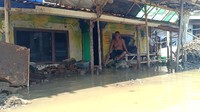Terpisah, Kepala BPBD Brebes Nuhsy Mansur mengatakan bahwa banjir di pesisir utara ini mulai masuk pagi tadi. Tidak hanya jalan, permukiman warga juga terdampak rob.