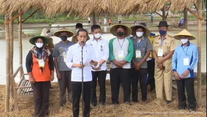 Presiden Joko Widodo menanam padi dengan petani
