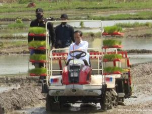 Stok Sangat Baik, Jokowi Sebut Indonesia Belum Impor Beras di 2021