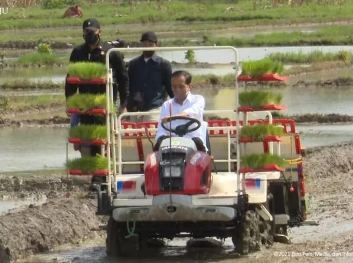Presiden Joko Widodo menanam padi dengan petani