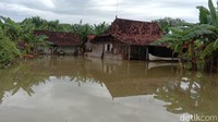 Kepala Badan Penanggulangan Bencana Daerah (BPBD) Pati Martinus Budi mengungkap data terkini ada sebanyak 61 rumah yang terendam banjir.   