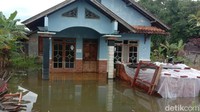 Martinus memperkirakan kerugian akibat banji mencapai ratusan juta rupiah akibat lahan sawah yang gagal panen.  