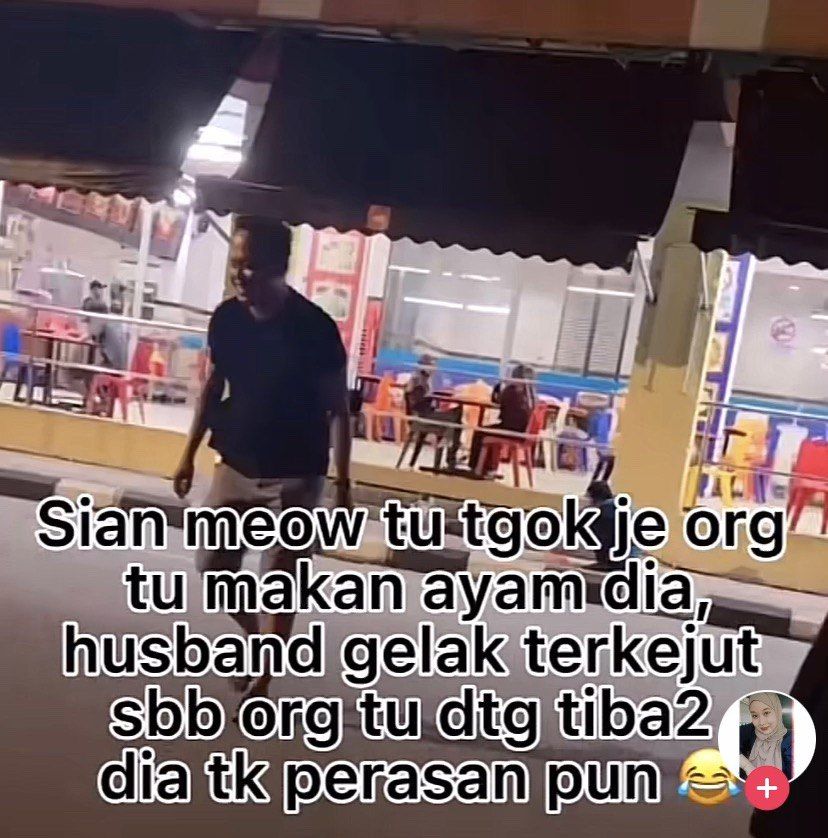 Beli Ayam Goreng Buat Kucing Jalanan, yang Makan Justru Bapak-bapak