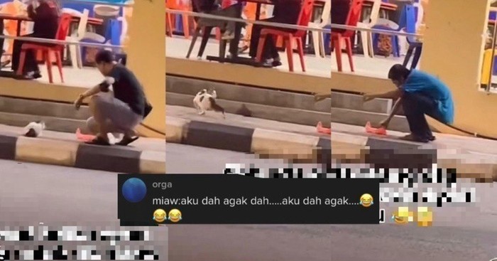 Beli Ayam Goreng Buat Kucing Jalanan, yang Makan Justru Bapak-bapak Beli Ayam Goreng Buat Kucing Jalanan, yang Makan Justru Bapak-bapak