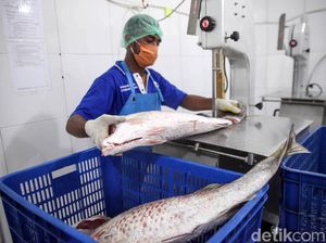 Di Sini, Hasil Laut Para Nelayan Papua Disimpan Sebelum Dipasarkan