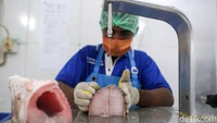 Sofi Tapilato, penanggungjawab program perikanan PTFI mengatakan ikan dan hasil laut para nelayan dipasarkan kepada Pangansari mitra Freeport untuk mess hall di seluruh area kerja Freeport. Tahun ini, produksi ikan pun sudah mencapai 194 ton.