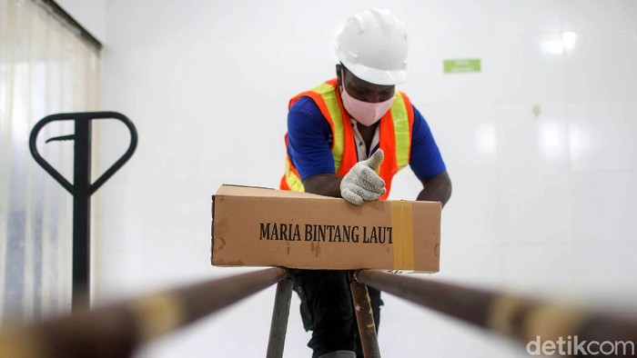 Tak cuma kaya emas,Papua juga kaya akan hasil laut. Bekerja sama dengan PTFI, Koperasi Maria Bintang Laut di Timika pun bergerak untuk berdayakan para nelayan.