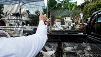 Sebelum dikirim ke Bali, terang Darmanto, burung itu sudah mendapatkan pelatihan dan dikarantina. Sehingga diharapkan burung itu siap ketika dikembalikan ke habitatnya di Bali barat.
