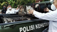 Darmanto mengatakan para penangkar wajib melepasliarkan burung jalak sebanyak 10 persen dari total yang ditangkarkan. Total penangkar Jalak Bali di Jateng 389 orang.