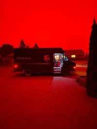 Foto nyata bikin cemas dan bergidik