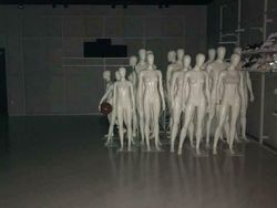 Berbagai Foto Menyeramkan Bikin Merinding