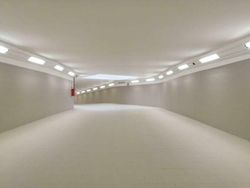 Berbagai Foto Menyeramkan Bikin Merinding