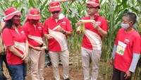 Hadir pada kesempatan itu Managing Director PT East West Seed Indonesia (Ewindo) Glenn Pardede bersama Deputy Managing Director Ewindo Afrizal Gindow usai mengenalkan varietas baru jagung manis Perkasa F1 Buah Besar dan Manis Tahan Lama kepada petani di Desa Wonosari, Lampung Timur, Selasa (30/11). 
