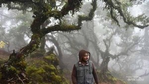 5 Pesona Fatumnasi, Keindahan Tersembunyi di Pulau Timor