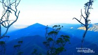 Gunung Mutis