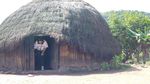5 Pesona Fatumnasi, Keindahan Tersembunyi di Pulau Timor