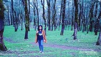 Padang Fatumnasi
