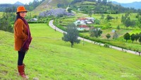 Foto: detik