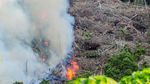 Jangan Ditiru! Buka Lahan dengan Cara Dibakar