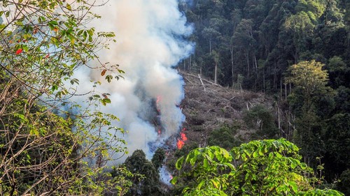 Asap membubung ke udara dari lokasi pembakaran lahan di Pangkalan Jambu, Merangin, Jambi, Rabu (1/12/2021). Pembukaan lahan baru dengan cara membakar masih sering dilakukan warga di daerah itu, utamanya saat memasuki musim kemarau. ANTARA FOTO/Wahdi Septiawan/wsj.