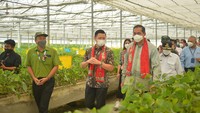 Menteri Perdagangan Muhammad Lutfi (kanan) bersama Managing Director RGE Anderson Tanoto (tengah) mengunjungi fasilitas kompleks pembibitan APRIL di Pangkalan Kerinci, Provinsi Riau. Dalam kesempatan itu, Mendag melepas produk serat viscose rayon produksi PT Asia Pacific Rayon (APR), afiliasi APRIL ke pasar global dan domestik, Rabu (1/12/2021).