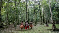 Suku Kamoro berada di kawasan pesisir, sementara Suku Amunge berada di kawasan pegunungan. Selain itu, terdapat 5 suku kekerabatan yaitu suku Moni, Dani, Nduga, Damal dan Lanny.